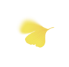 Single Yallow Leaf