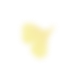 Leaf overlay