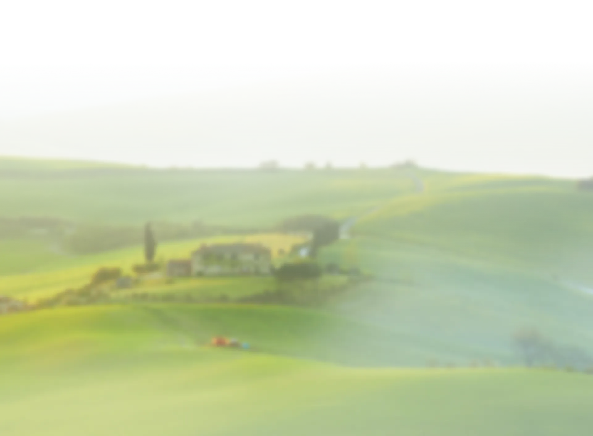 Landscaping green ground 2