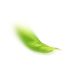 Single leaf 3