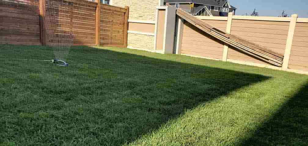 Sod installation Image - Calgary's Premier Landscaping & Outdoor Living Company
