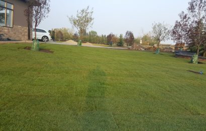 sod installation