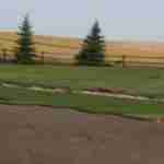 yard grading 3