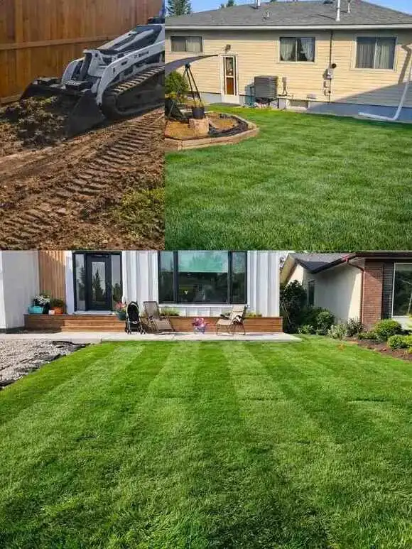 Landscaping company installing new sod lawn with soil grading and finished backyard turf
