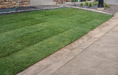 nice lawn